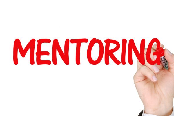 mentoring, business, success